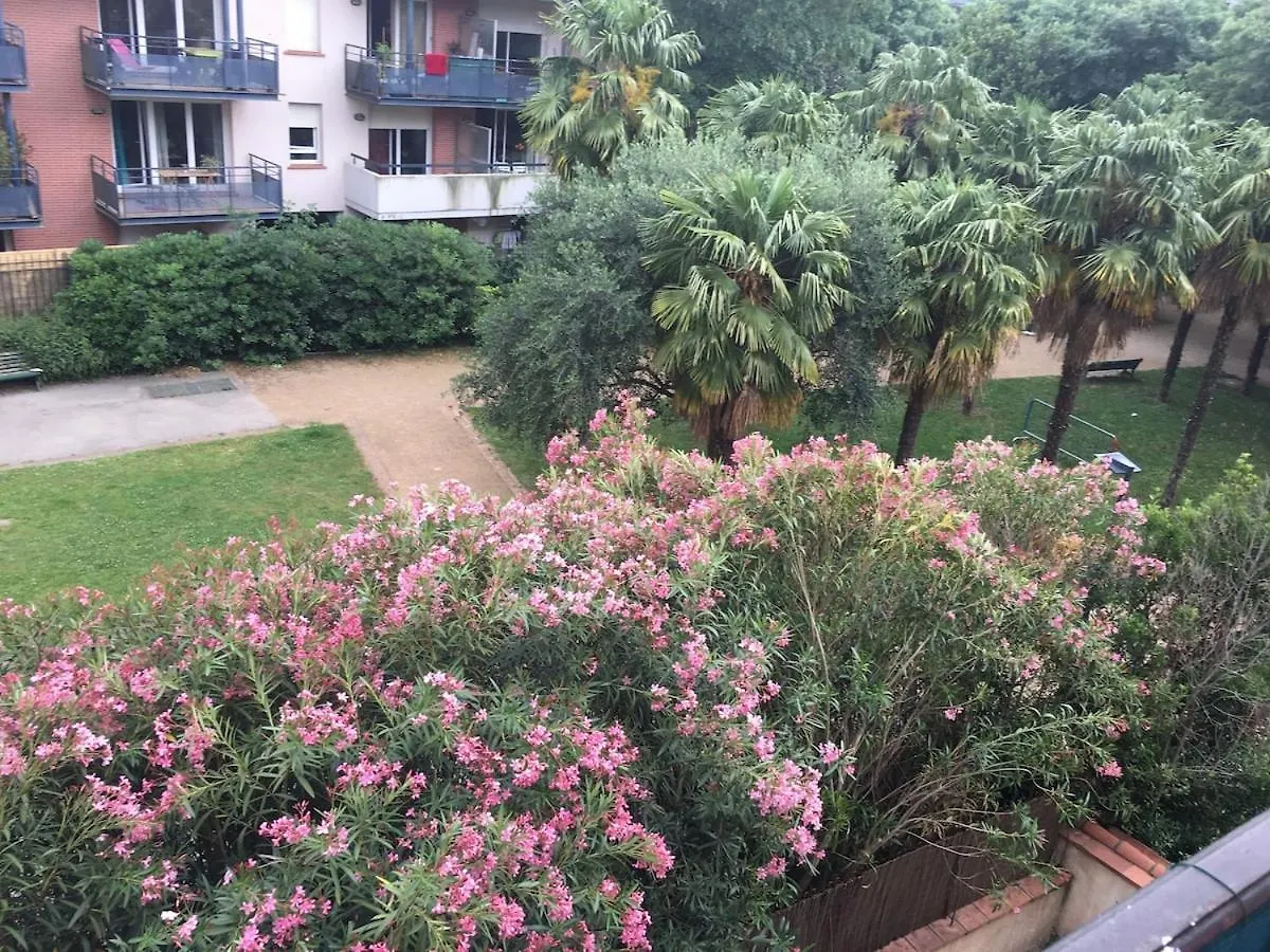 Very Central Toulouse Apartment